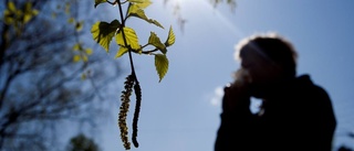 Kollen av pollen klar