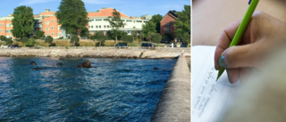 FÖRSLAG: ”Reservera” utrymme åt lasarettets patienter • ”I väntan på en vinterträdgård”