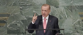 Erdogan upprepar hot om att blocka Sverige från Nato