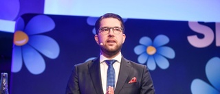 Åkesson går inte att lita på