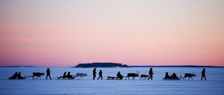 Vintrigt foto blev årets bild