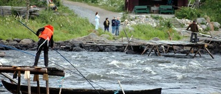 Högt vatten hotar fiskeredskap vid Kukkolaforsen