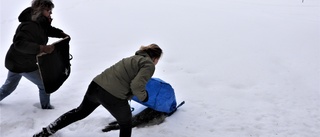 Sälen undkom både myndighet och jägare