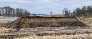 Hotad svala får hjälp hos golfklubben: "Alla har varit positiva"