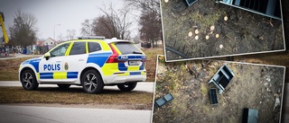 Lovis hittade uppbruten kassalåda – på hundpromenad