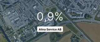 Minskad omsättning och lägre resultat för Alina Service