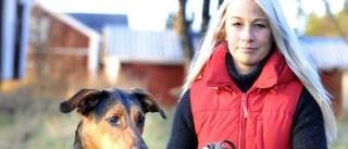 Hittade hund fastbunden i skogen