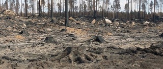 Norrbottningar med i brandbekämpningen