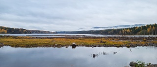 Vackert vid forsen – Storforsen i höstskrud