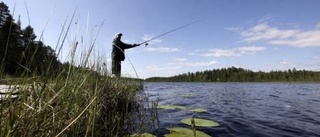 Huggvillig fisk - men upprustning behövs snarast