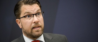 Comeback för Åkesson (SD) efter sommarledighet