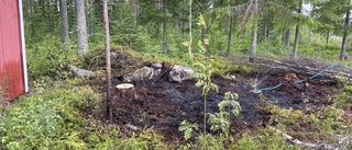 Skogsbranden i Järvtjärn är släckt