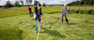 Sara Lisa hyllades med slåtter