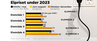 Prognosen: Billigare el i sommar