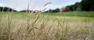 EU-parlament vill skrota naturrestaurering