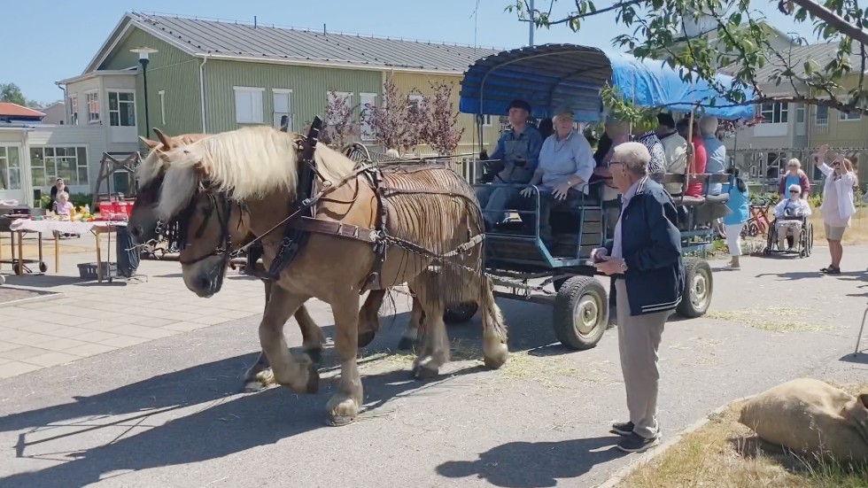 Hästskjutsen var ett extra kul inslag på den stora parkfesten vid Borghaga och Vimarhaga på fredagen.
