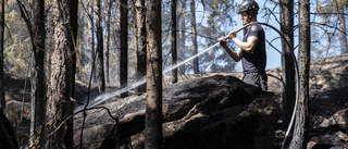 SMHI: Stor risk för skogsbrand i Östergötland 