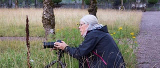 "Spindlar är jättebra i trädgården"