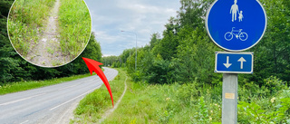 Mysteriet löst: Därför skyltades upptrampad stig som "cykelbana"