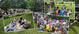 Säsongsavslutning för Picnic i parken – vi var på plats