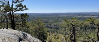 Att satsa på naturreservaten gynnar både natur och människor