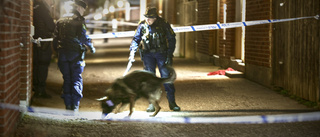 Därför syntes hundpatruller, drönare och poliser 