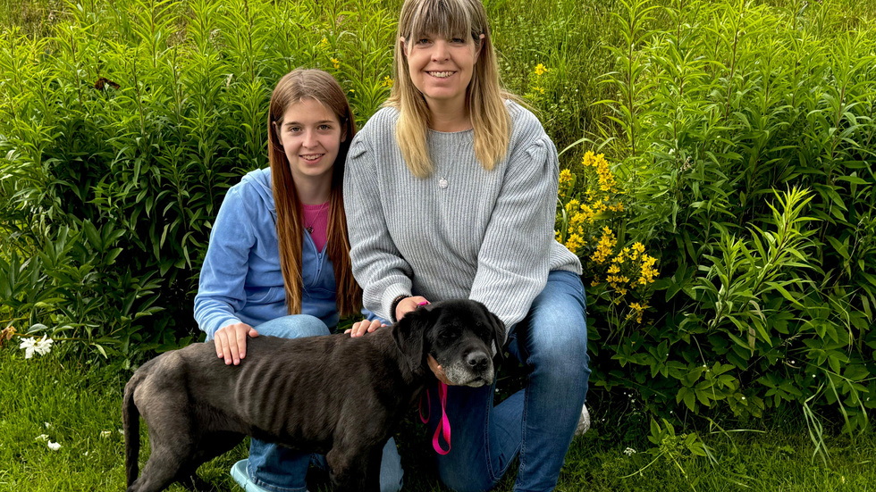 Viola och Ingela Karlsson tar nu hand om hunden som hittades under Bryggan i Fyruddens hamn.