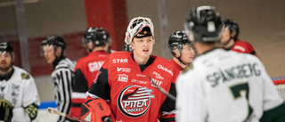 Piteå Hockey gör klart med målvakt