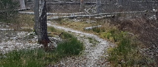 Varför gör Flens kommun inget åt Brogetorpsskogen?