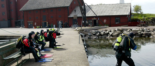 Sikten är klar i Hästholmens hamn