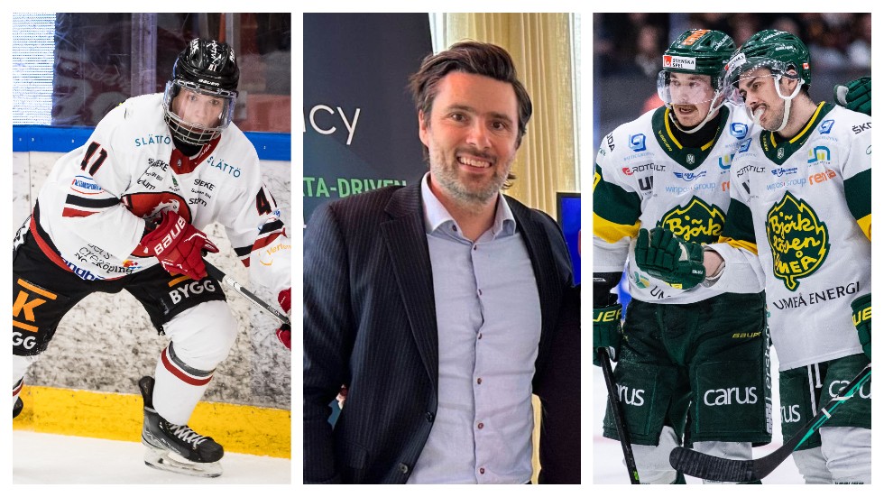 Björklöven landade "mjukt" efter sin konkursansökan. Pantern gjorde det inte 2019 utan fick börja om i hockeytrean. Frågan är vad som sker med Vita Hästen? Senast 21 april måste en överklagan vara inne.