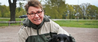 Så väljer du rätt mat till din hund