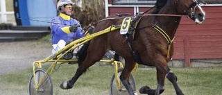 Segern i Boden - en ren formsak för Söderholm