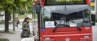 Hundförbud på buss ifrågasätts