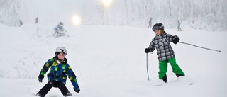 Skidanläggningen öppen i vinter