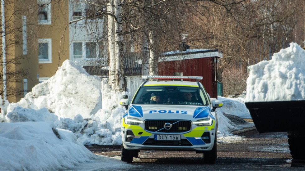 Gärningen ska ha begåtts i en lägenhet på Tunastigen i centrala delen av Luleå för en månad sedan.