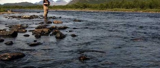 Gruvlig hantering skadar ekologin