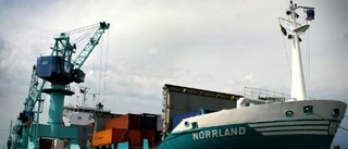 Miljöanpassad logistik - utmaning för branschen