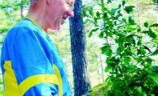 Tävlingssugna veteraner på språng i skogen