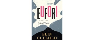 Eufori en roman om Sylvia Plath av Elin Cullhed