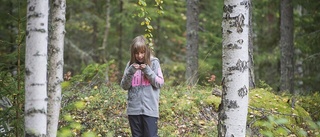 Geologi lockar i Varuträsk