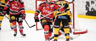 Boden hoppar av DM-hockeyn – Piteå hoppas på ny finalseger mot Luleå