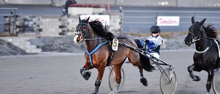 Amalia prisad på ponnytravgalan