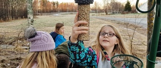 Naturens hjältar ska hitta ovanliga fåglar: "Jag är jättetaggad"