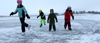 Pussens vänner bjöd på finfin skridskois