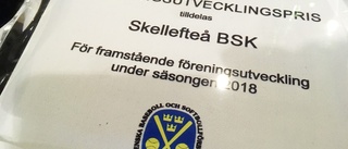 Skellefteklubb vann årets Föreningsutvecklingspris