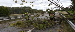 Nedblåsta träd orsakar störningar