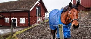 Svåra effekten efter branden: "Det är kaos varje dag"