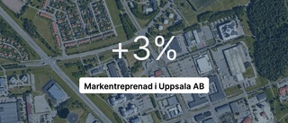 Vild tillväxt för Markentreprenad – steg med 52,4 procent