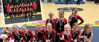 Guld och brons i truppgymnastik till Bergsbyns SK